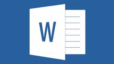 Word 2013 Expert